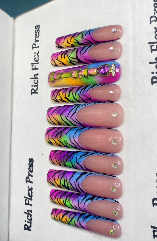 Rainbow Zebra Glam